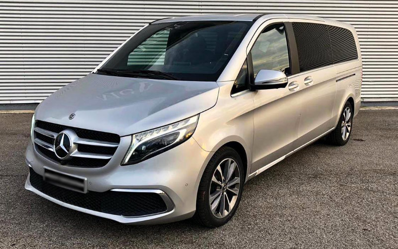 Positano Limousine Service fleet