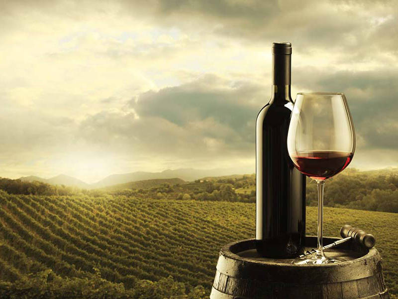 Road of wine Road of wine