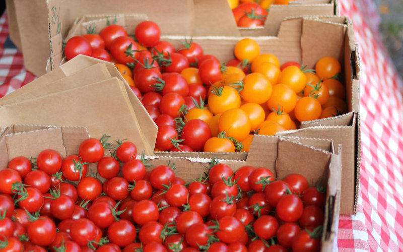 Tomatoes Tour Tomatoes Tour